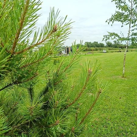 度假居 Ostoja Gora Kalwaria Zamek Krolowej Bony Caloroczne