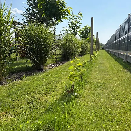 Ostoja Gora Kalwaria Zamek Krolowej Bony Caloroczne * Czersk