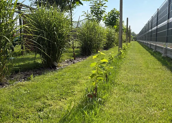 Ostoja Góra Kalwaria Zamek Królowej Bony Całoroczne * Czersk