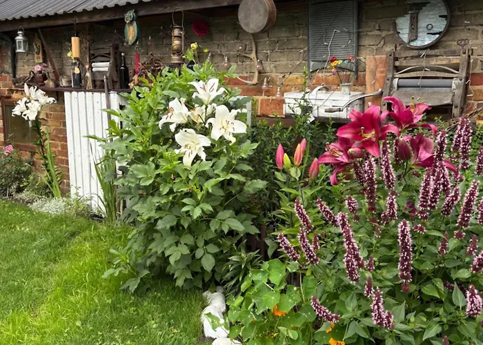 Dom wakacyjny Ostoja Góra Kalwaria Zamek Królowej Bony Całoroczne Czersk